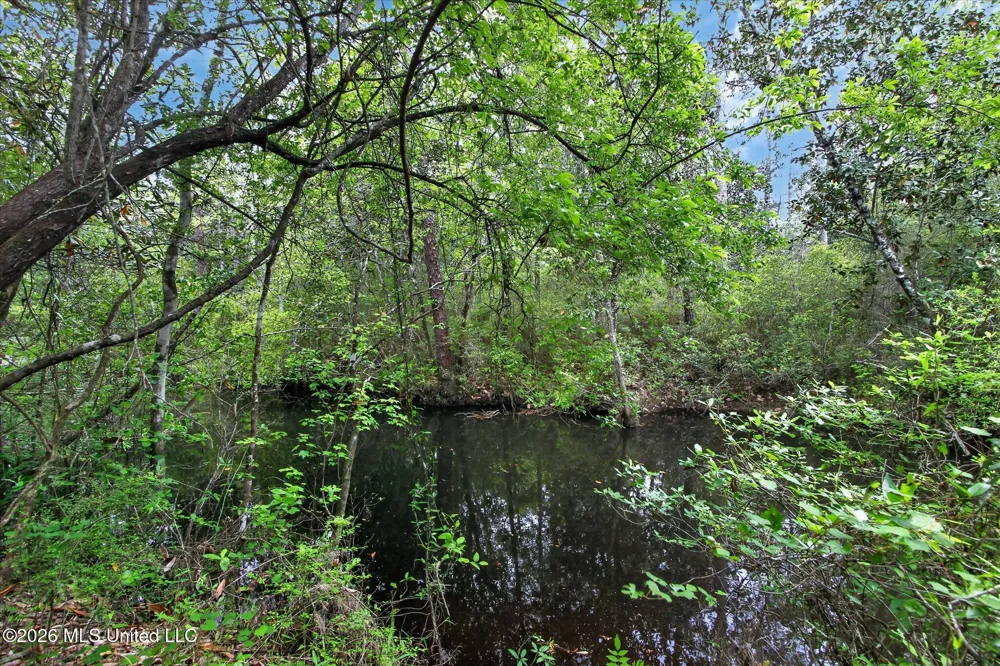 7061 Bayou Talla Lane Kiln, MS 39556