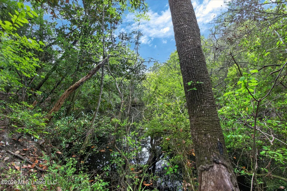 7061 Bayou Talla Lane Kiln, MS 39556