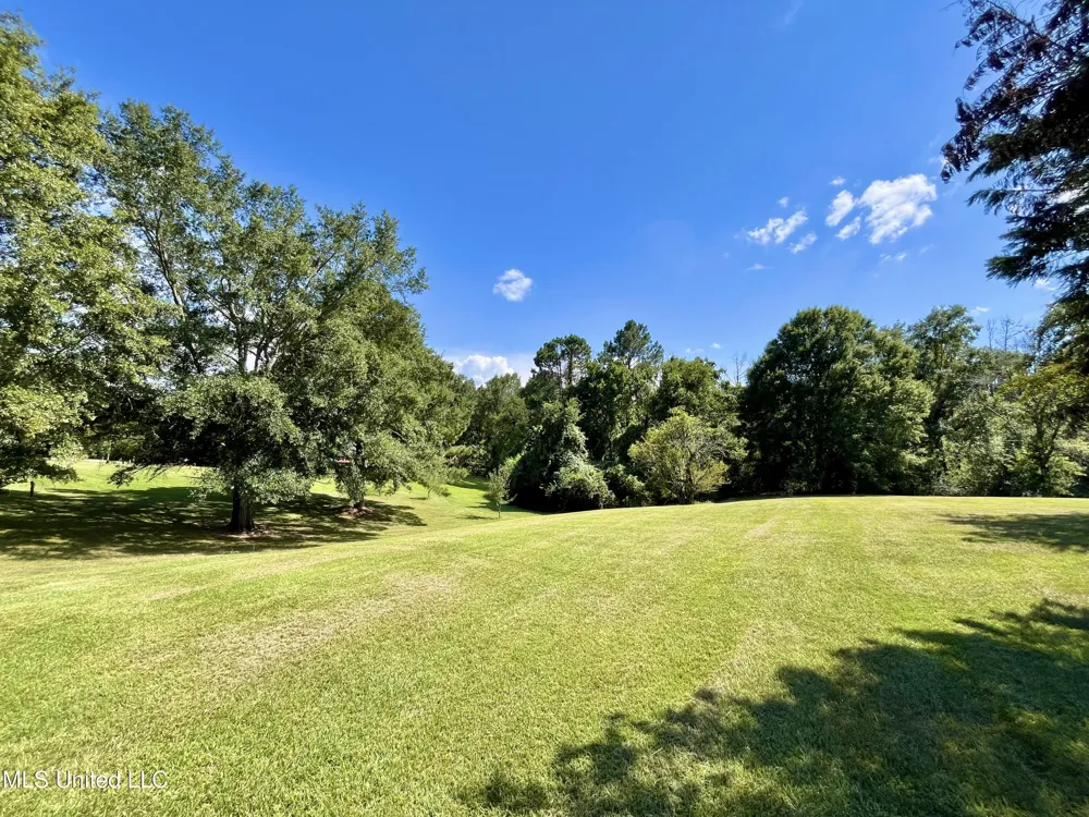 13 Canebrake Drive Crystal Springs, MS 39059