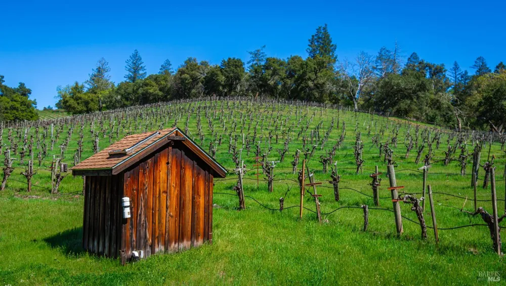 18345 Highway 128 Calistoga, CA 94515
