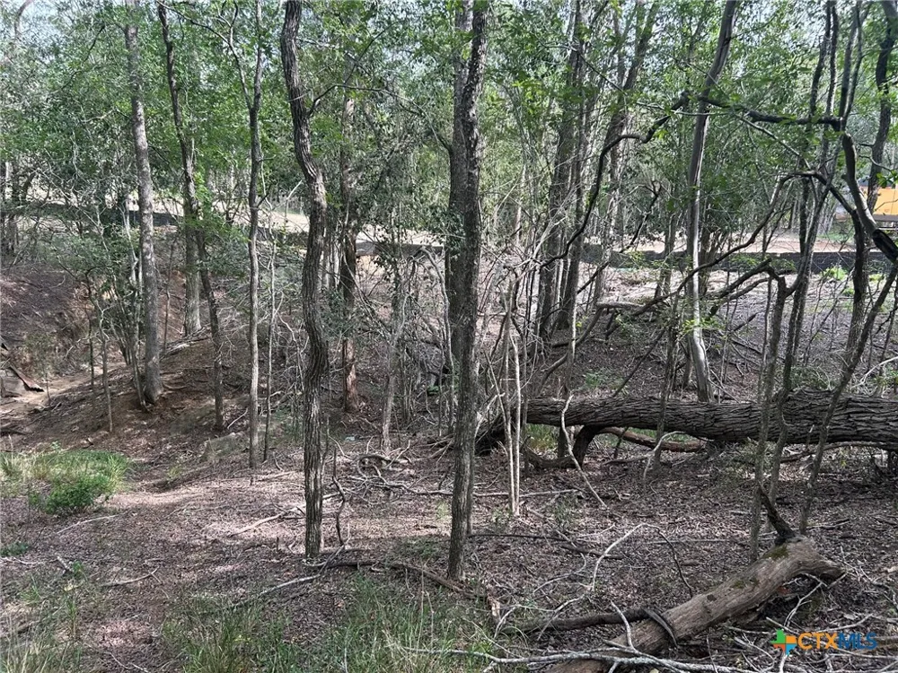 Sutherland Springs Seguin, TX 78155