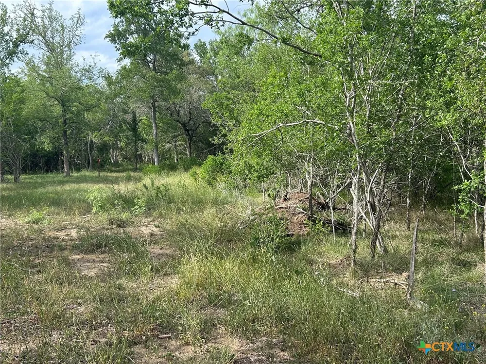Sutherland Springs Seguin, TX 78155