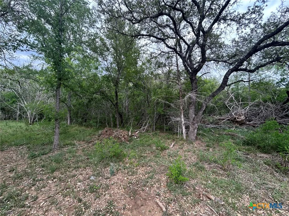 Sutherland Springs Seguin, TX 78155