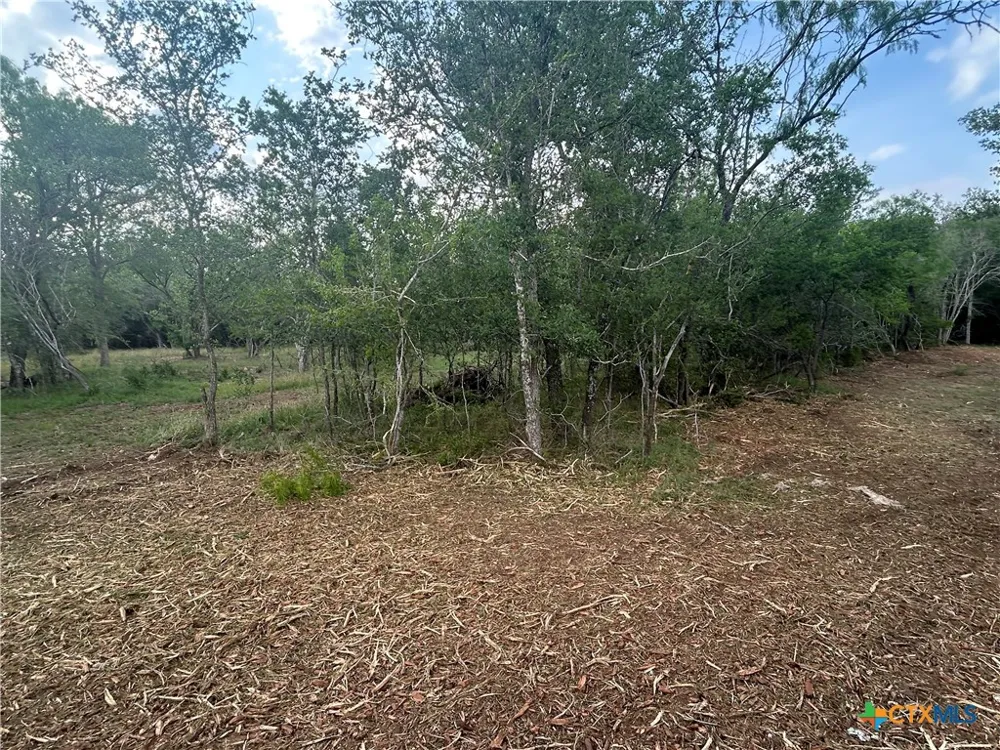 Sutherland Springs Seguin, TX 78155