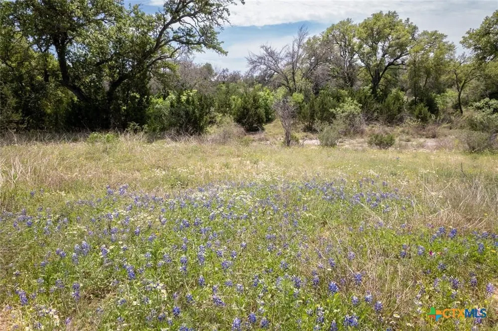 10930 E Fm 1431 Marble Falls, TX 78654