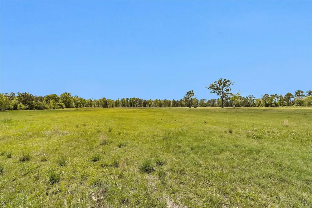 15586 Highway 105 E Conroe, TX 77306