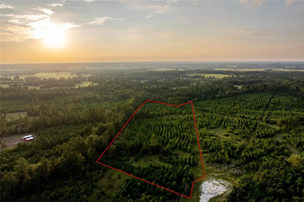 1999 Cherokee Trail Lovelady, TX 75851