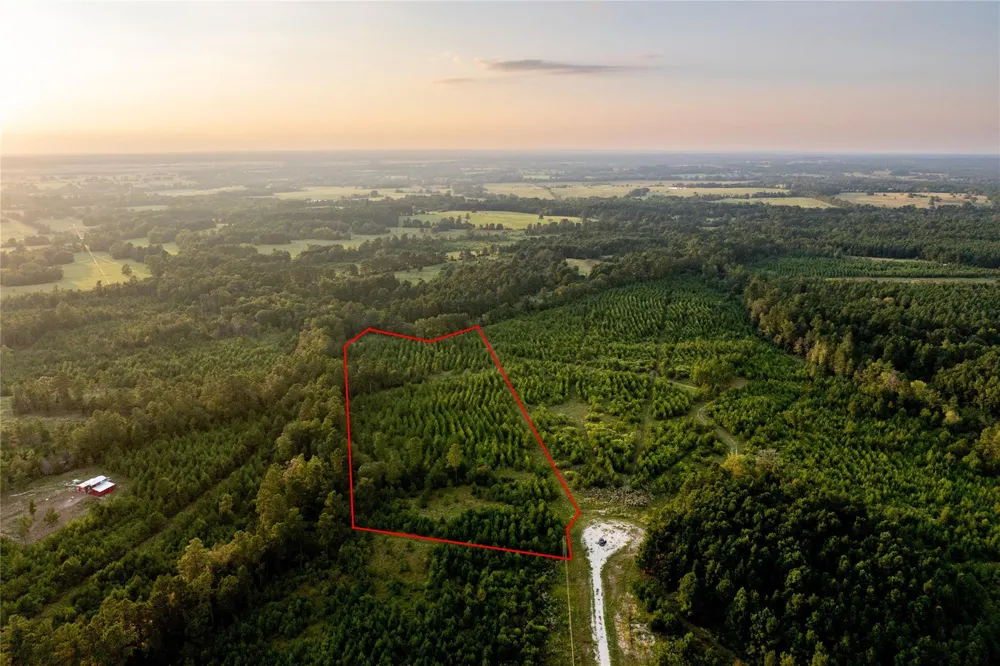 1999 Cherokee Trail Lovelady, TX 75851