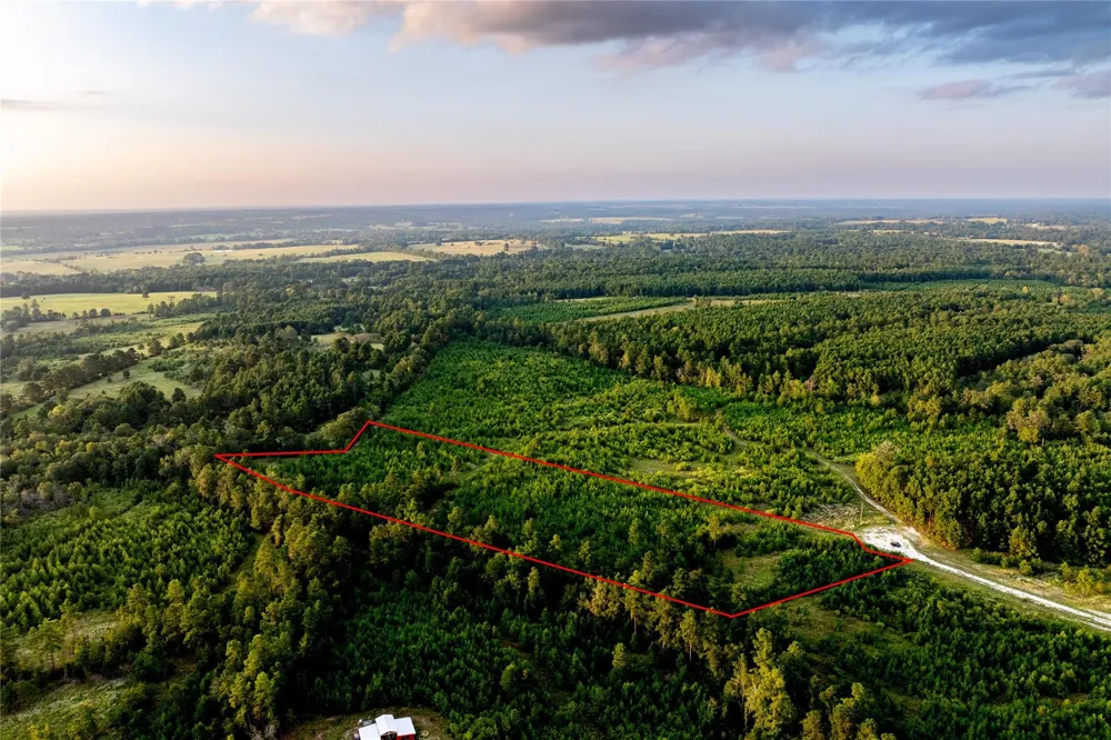 1999 Cherokee Trail Lovelady, TX 75851