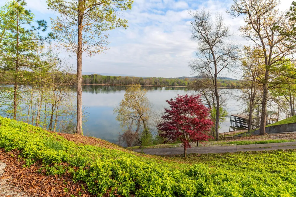 325 Russell Lane Decatur, TN 37322