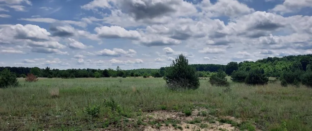 E Sparling Road Paradise Township, MI 49649