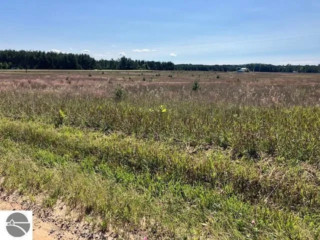 Walton Road Paradise Township, MI 49649