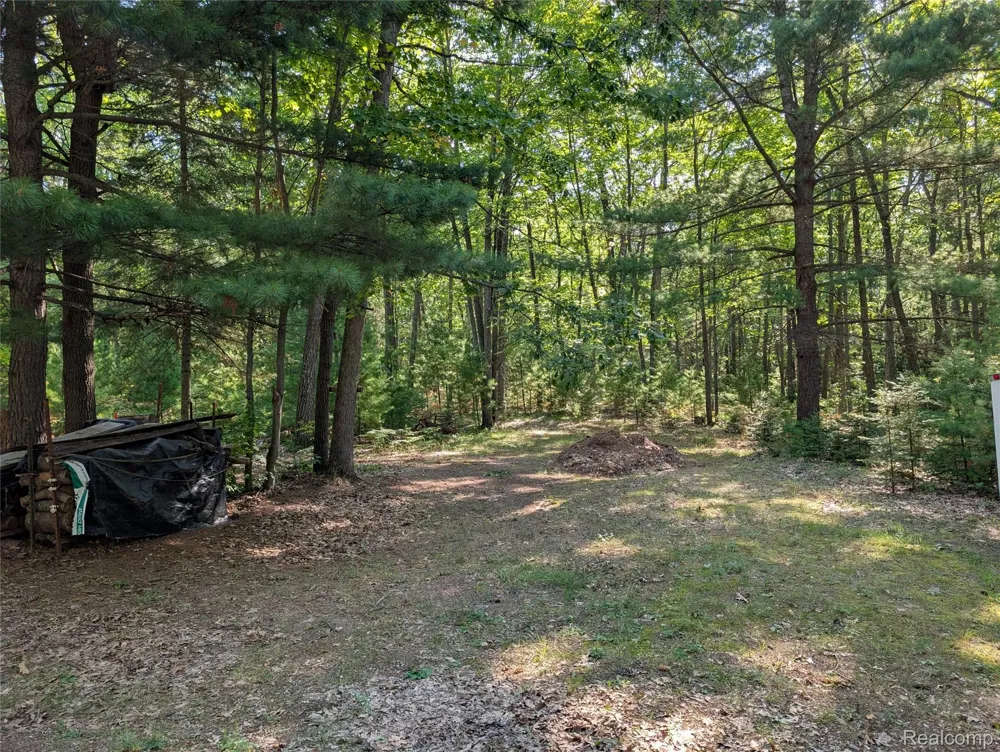 3821 S Townline Road Denton Township, MI 48651