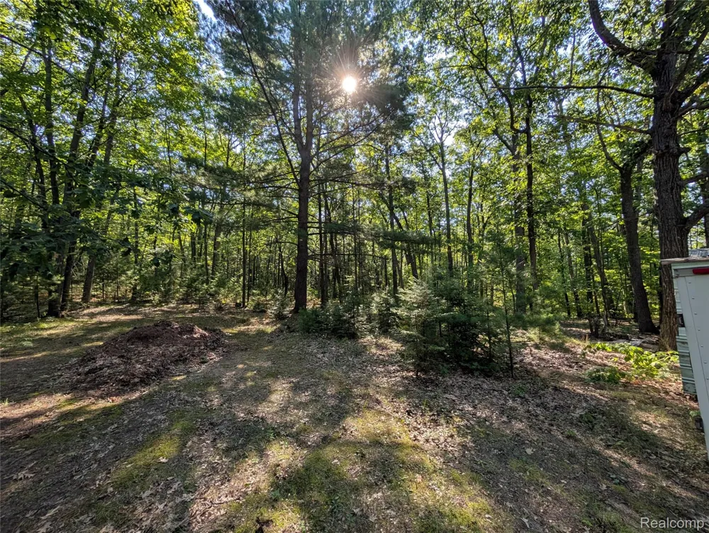 3821 S Townline Road Denton Township, MI 48651