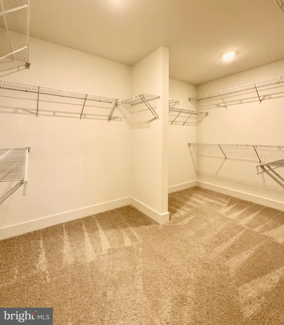 1530 SANDPIPER BAY LOOP Dumfries, VA 22026