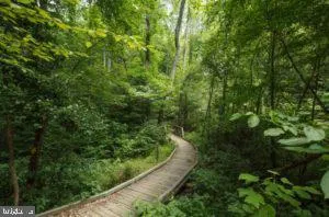 1530 SANDPIPER BAY LOOP Dumfries, VA 22026