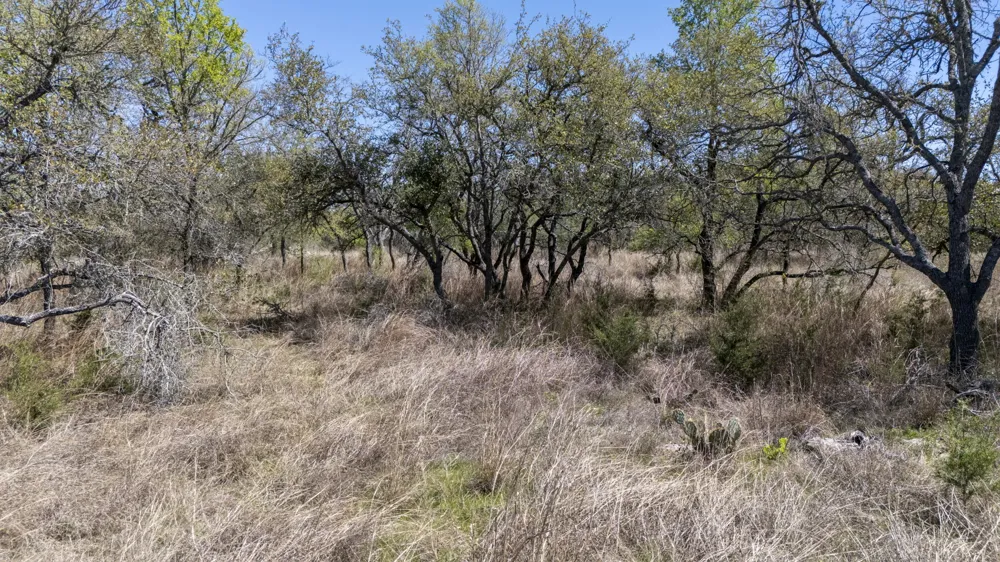 453 Nameless Road Driftwood, TX 78619