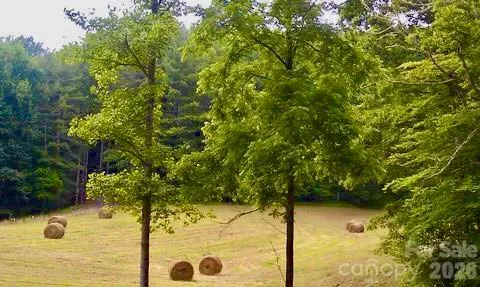 271 Amanda Drive #6A Mars Hill, NC 28754