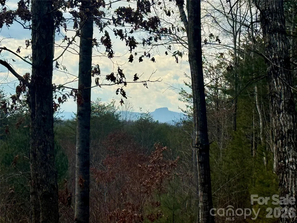 913 High Valley Way #913 Lenoir, NC 28645
