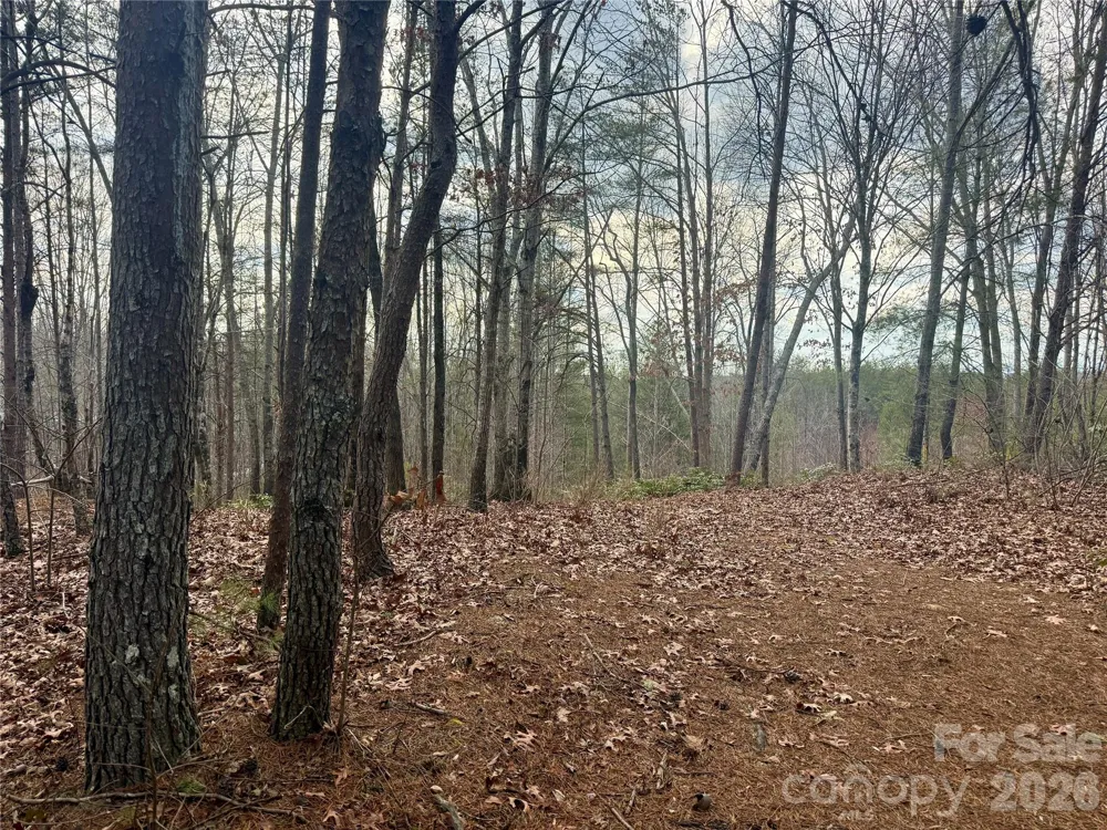 913 High Valley Way #913 Lenoir, NC 28645