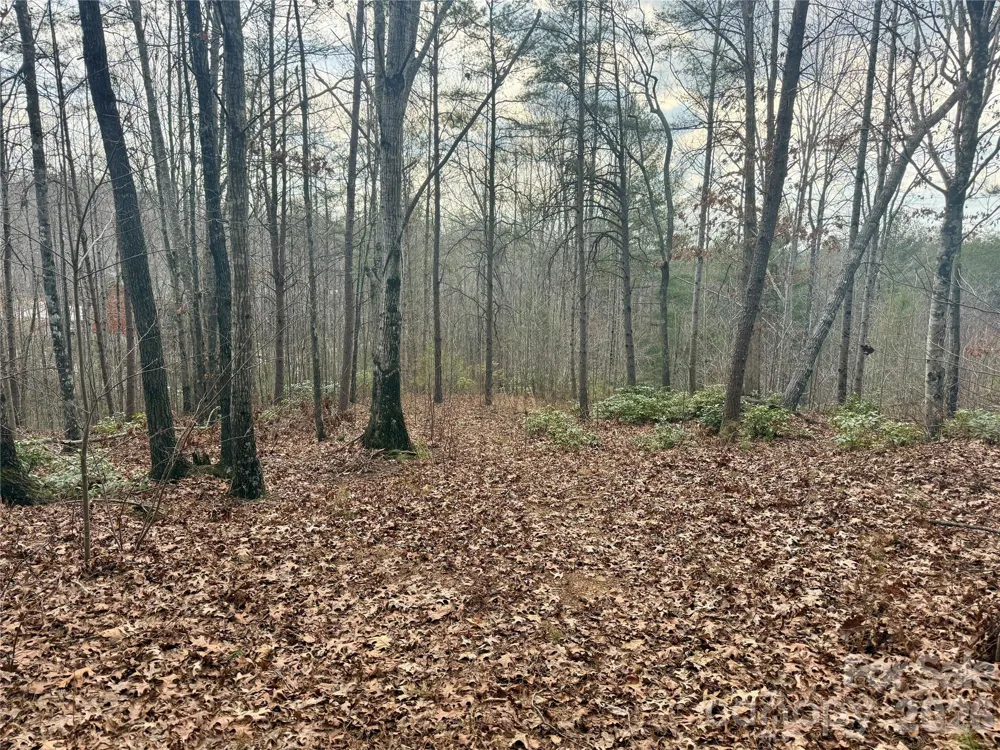 913 High Valley Way #913 Lenoir, NC 28645