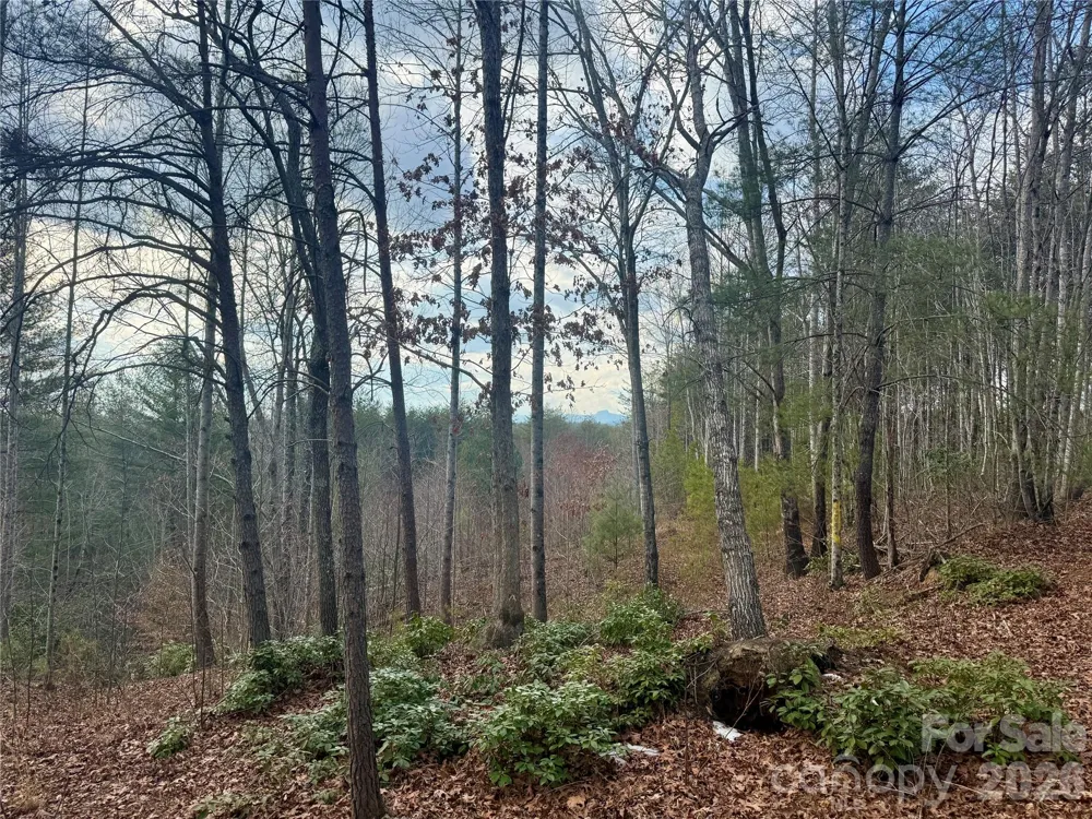 913 High Valley Way #913 Lenoir, NC 28645