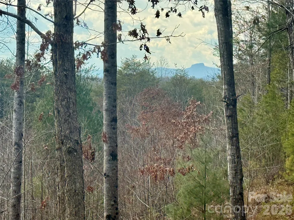 913 High Valley Way #913 Lenoir, NC 28645