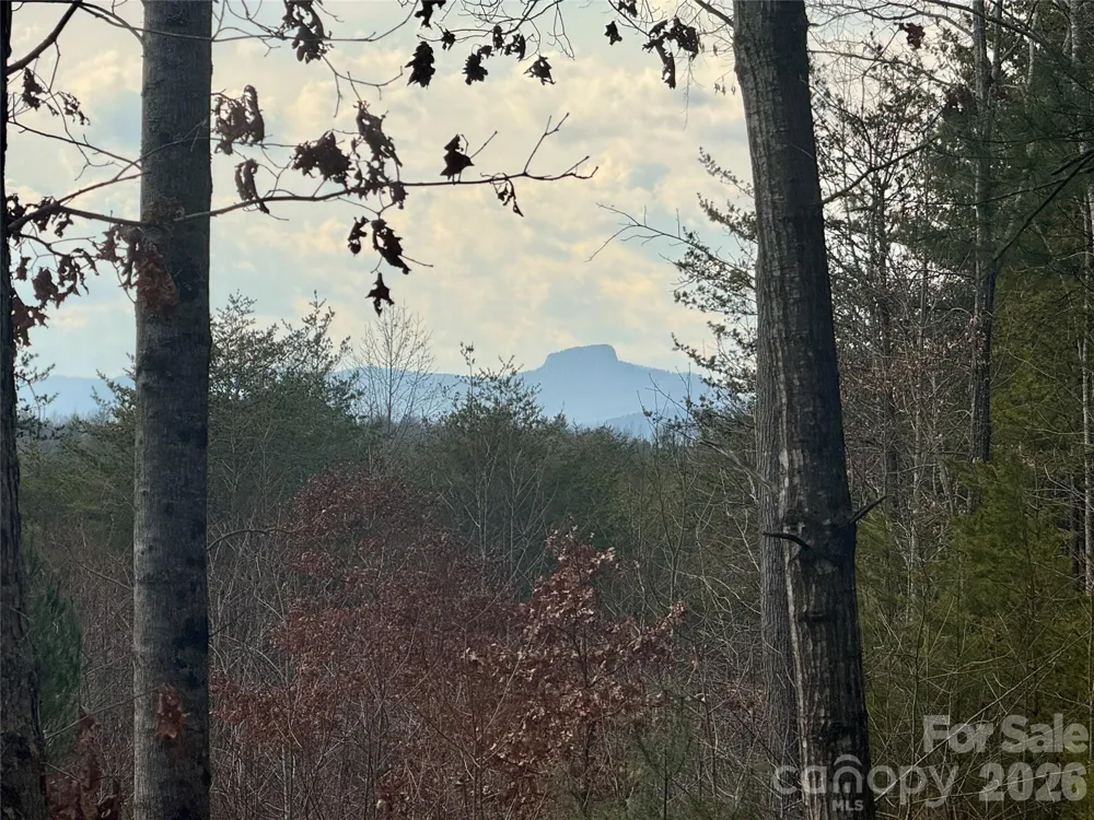 913 High Valley Way #913 Lenoir, NC 28645