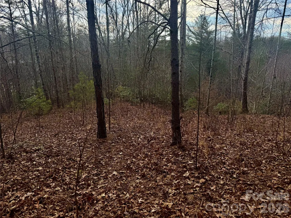 913 High Valley Way #913 Lenoir, NC 28645