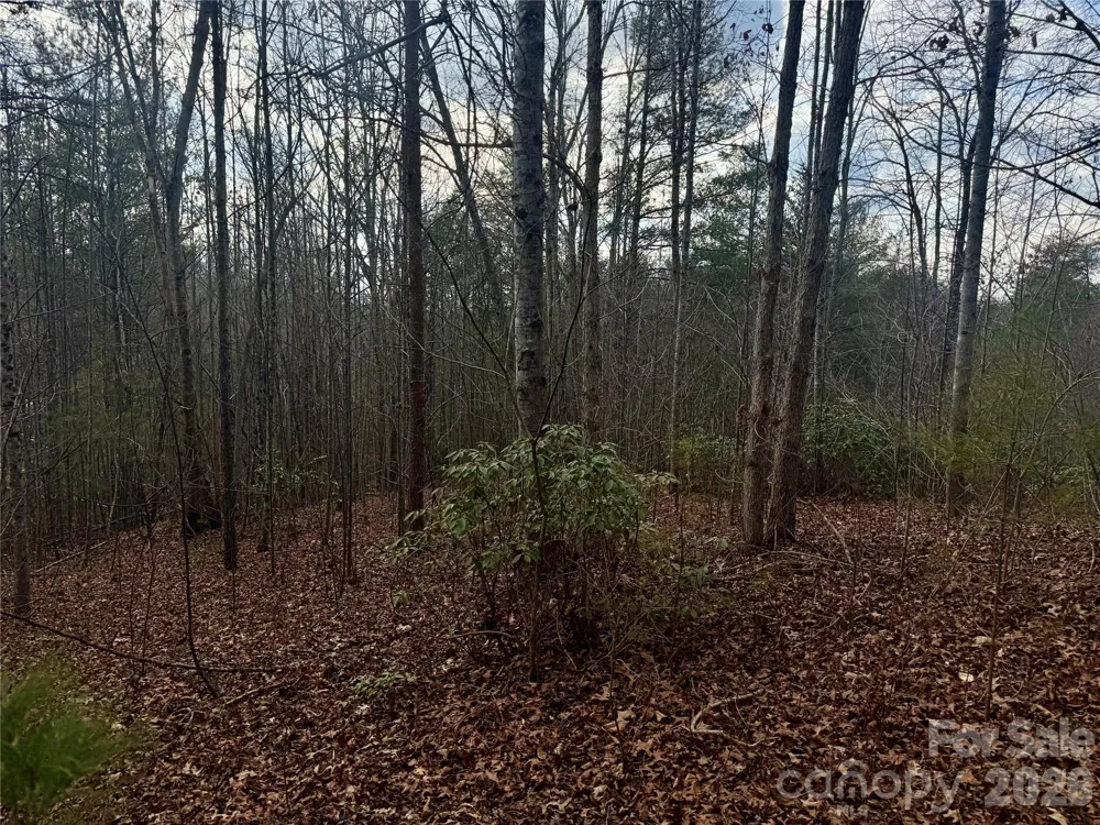 913 High Valley Way #913 Lenoir, NC 28645