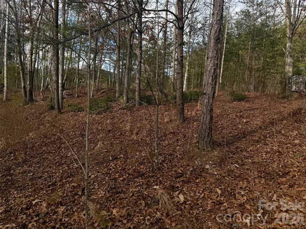 913 High Valley Way #913 Lenoir, NC 28645