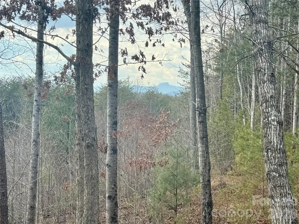 913 High Valley Way #913 Lenoir, NC 28645