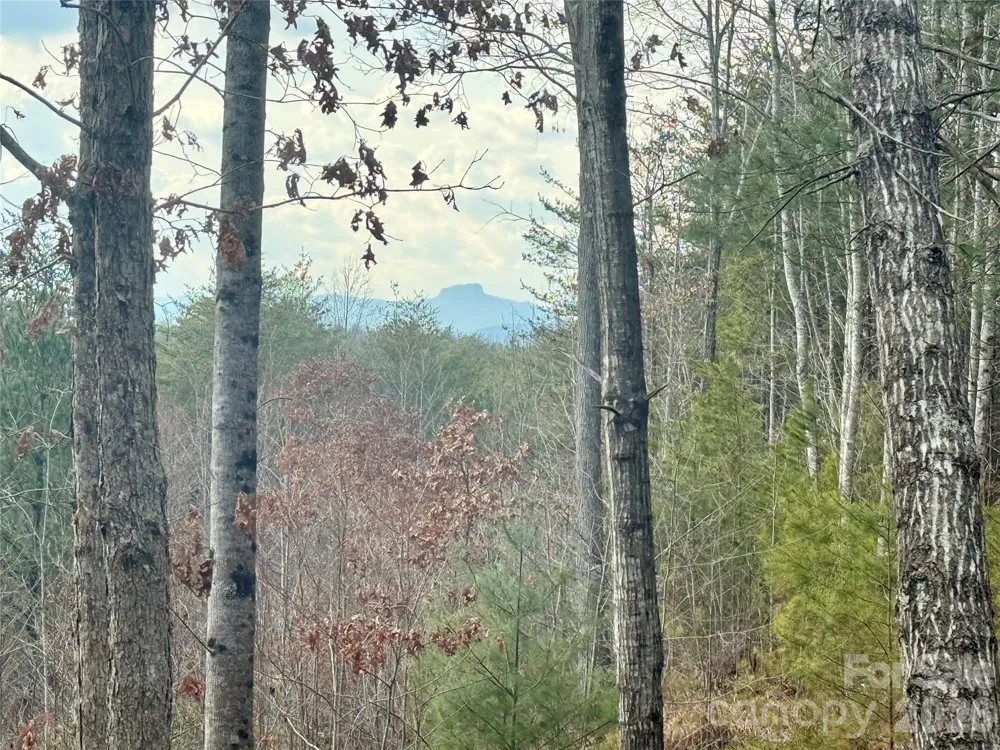 913 High Valley Way #913 Lenoir, NC 28645