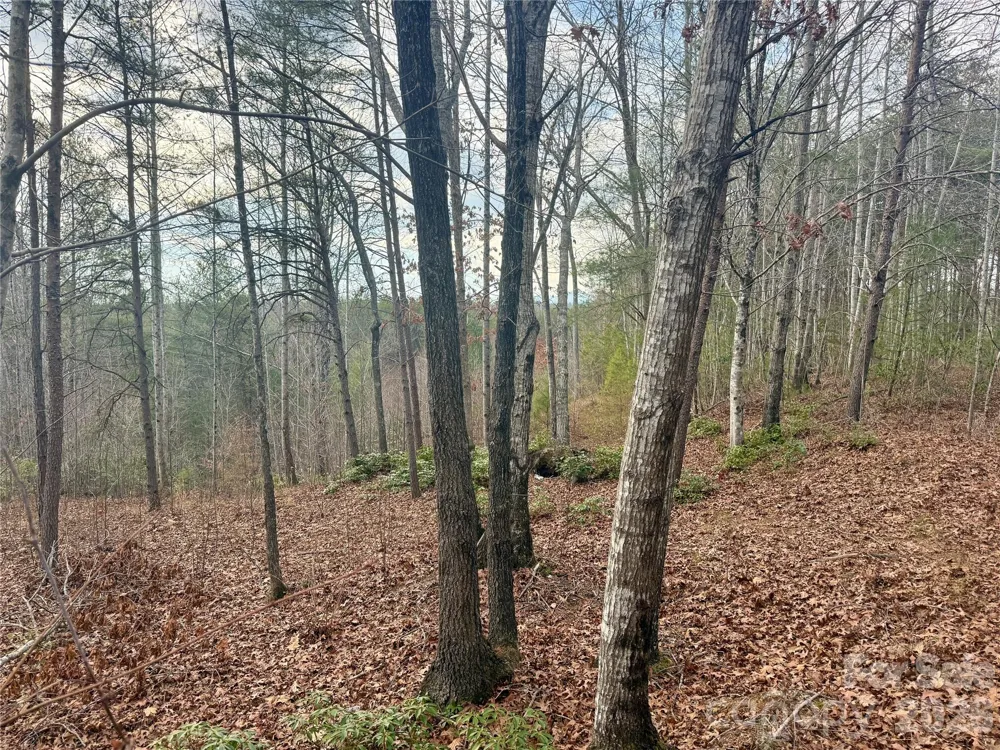 913 High Valley Way #913 Lenoir, NC 28645