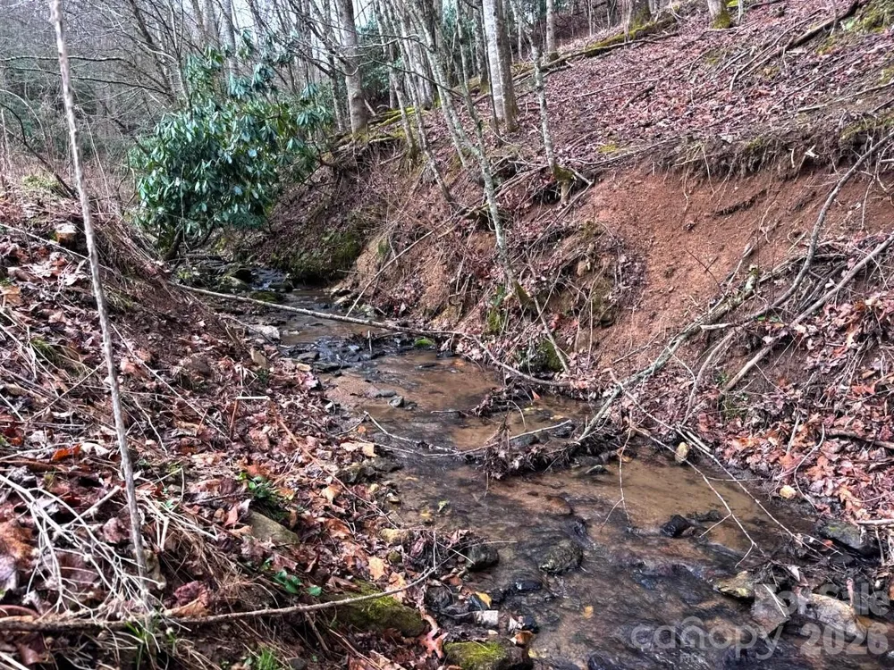 TBD Sugar Camp Road Marshall, NC 28753
