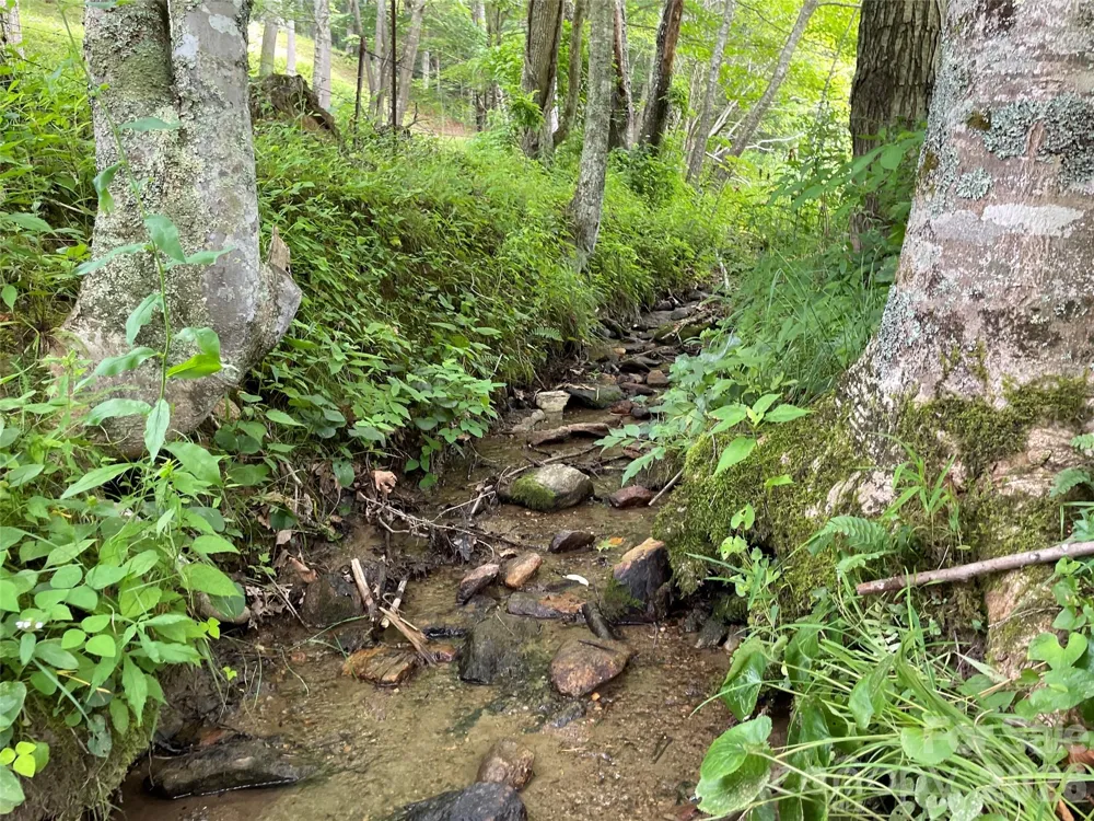 TBD Sugar Camp Road Marshall, NC 28753