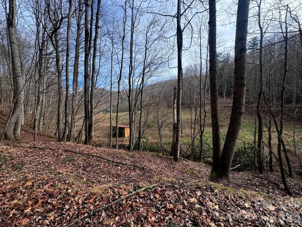 TBD Sugar Camp Road Marshall, NC 28753