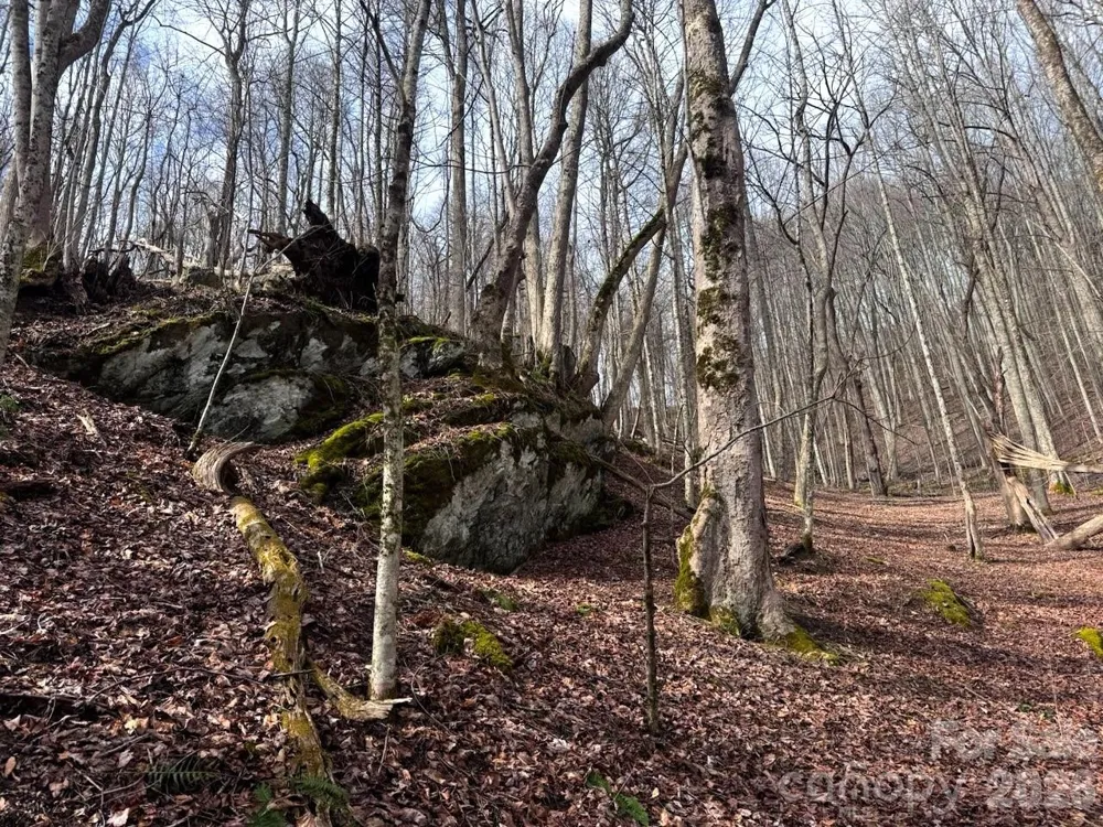 TBD Sugar Camp Road Marshall, NC 28753