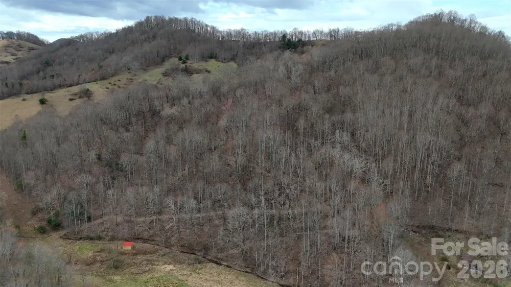 TBD Sugar Camp Road Marshall, NC 28753