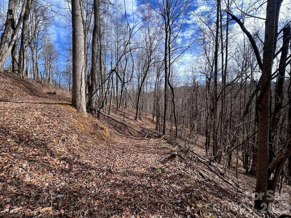 TBD Sugar Camp Road Marshall, NC 28753