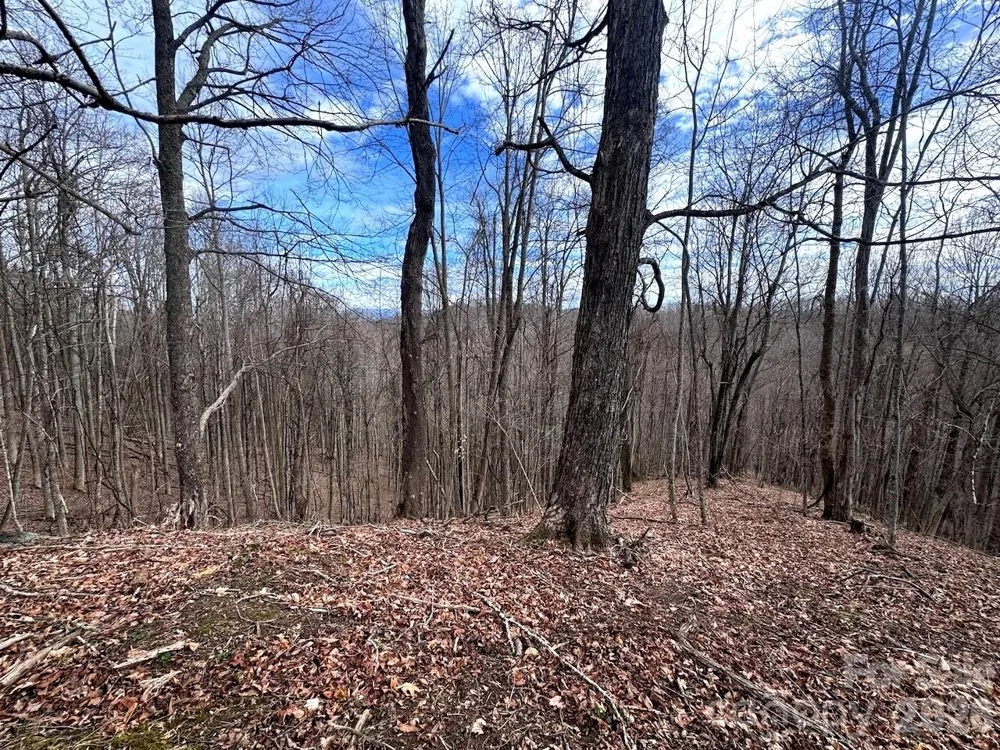 TBD Sugar Camp Road Marshall, NC 28753