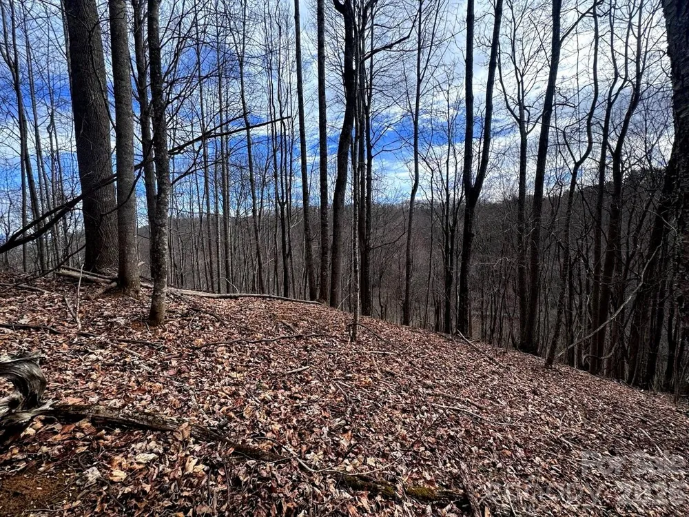 TBD Sugar Camp Road Marshall, NC 28753