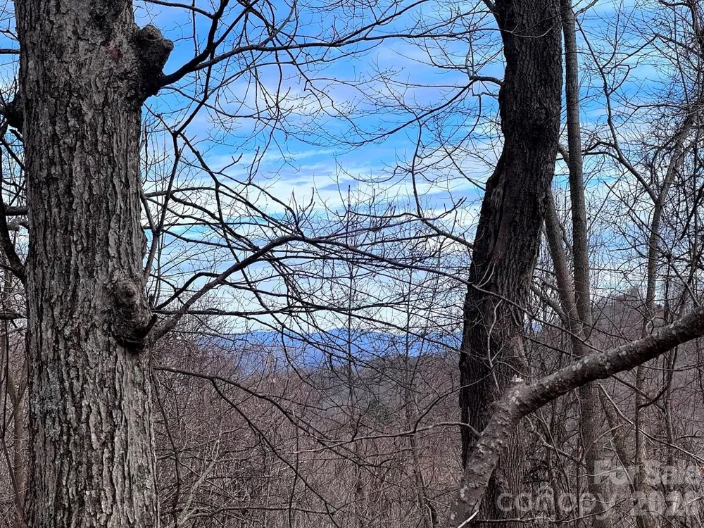 TBD Sugar Camp Road Marshall, NC 28753