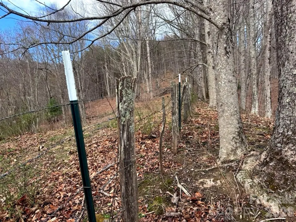 TBD Sugar Camp Road Marshall, NC 28753