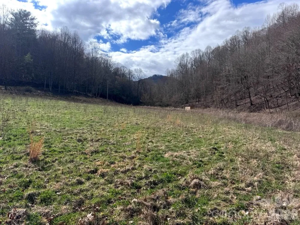 TBD Sugar Camp Road Marshall, NC 28753