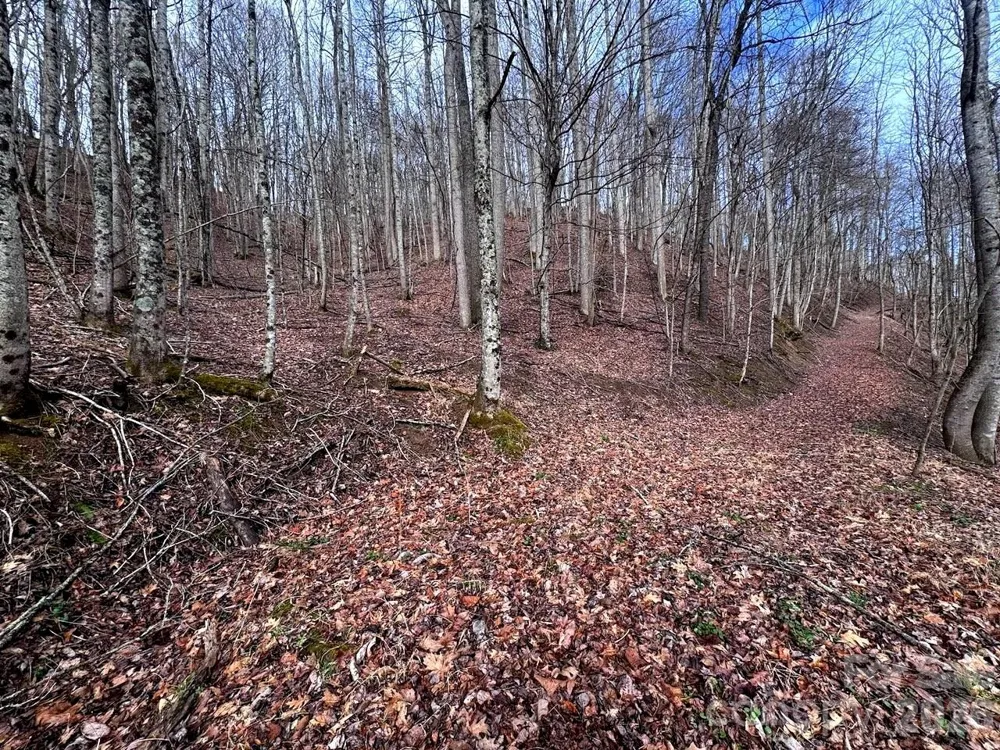 TBD Sugar Camp Road Marshall, NC 28753