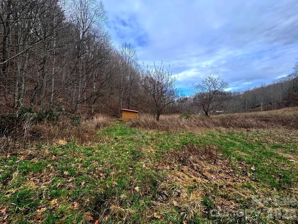 TBD Sugar Camp Road Marshall, NC 28753