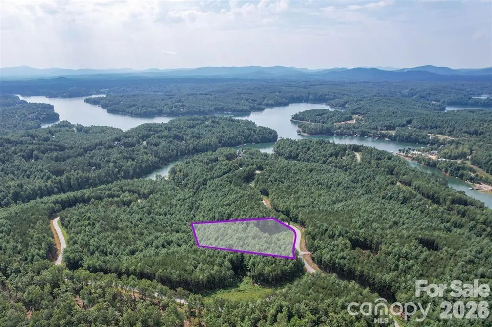 2377 Ivy Rays Way #56 Nebo, NC 28761