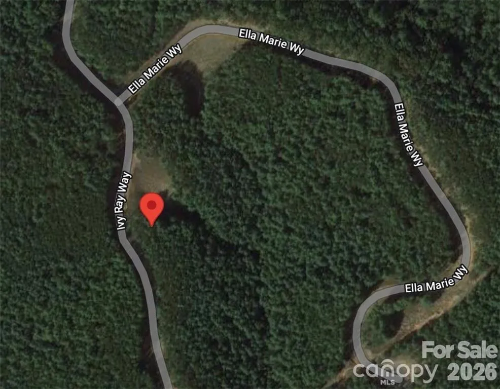 2377 Ivy Rays Way #56 Nebo, NC 28761