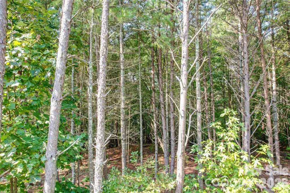 2377 Ivy Rays Way #56 Nebo, NC 28761